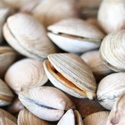 Receta de habas a la marinera