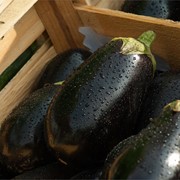 Rulos de berenjena rellenos de pavo